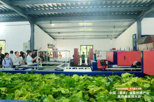 科技創新賦能，推動成渝地區蠶桑絲綢產業一體化發展